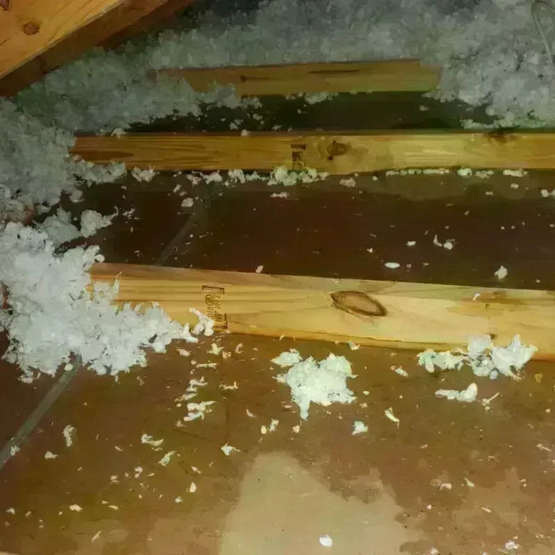 Attic Water Damage in Three Rivers, OR