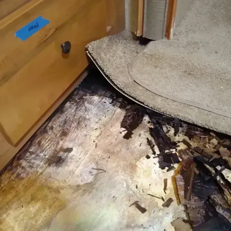 Best Wood Floor Water Damage Service in Three Rivers, OR